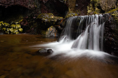 Scenic view of waterfall in forest