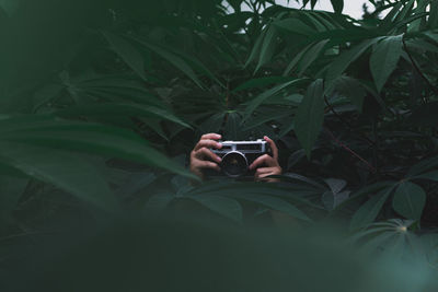 Man photographing plant