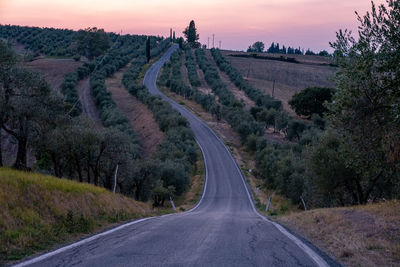 Country road amidst trees against sky during sunset