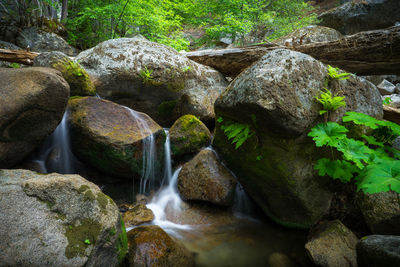 View of waterfall in forest