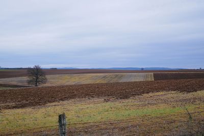 Scenic view of field against sky