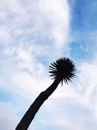 Low angle view of bird on tree against sky