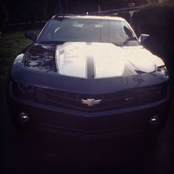 transportation