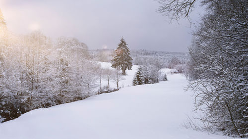Landscape with snow and sun in brilon, sauerland. this landscape  near the altenbürener mill.