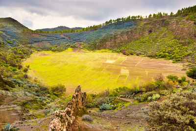 Scenic view of landscape against sky