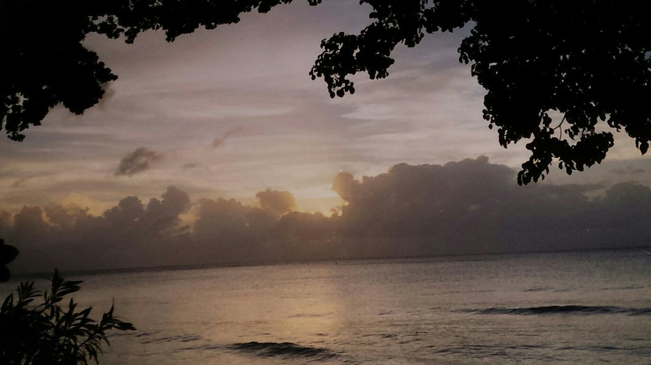 tranquility, tranquil scene, tree, sky, scenics, beauty in nature, water, nature, silhouette, cloud - sky, sea, sunset, horizon over water, idyllic, cloudy, cloud, dusk, branch, lake, calm