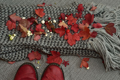 Low section of person wearing red shoes