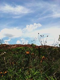 Scenic view of grassy field against cloudy sky