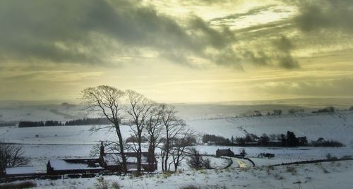 Snow covered field at sunset