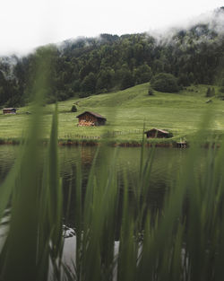 Scenic view of lake by field