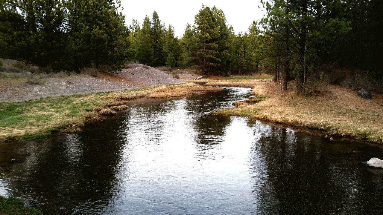 water, tree, tranquility, tranquil scene, reflection, scenics, river, nature, stream, beauty in nature, forest, waterfront, lake, growth, non-urban scene, idyllic, day, non urban scene, green color, landscape