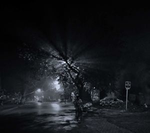 Road along trees at night