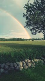 Scenic view of field against rainbow in sky