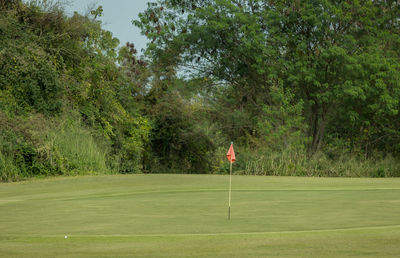 View of golf course