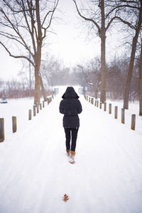 Rear view of person walking on snow covered landscape