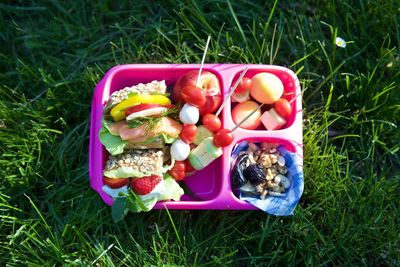 High angle view of food on grass on field