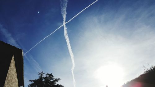 Low angle view of trees against blue sky