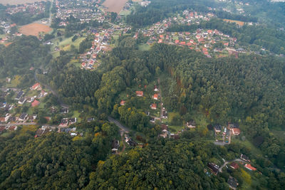 High angle view of trees in city