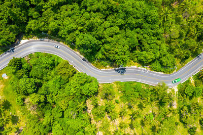 Top down view of coastline road in nakhon si thammarat, thailand