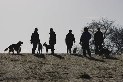 Silhouette people and dogs standing on land against sky