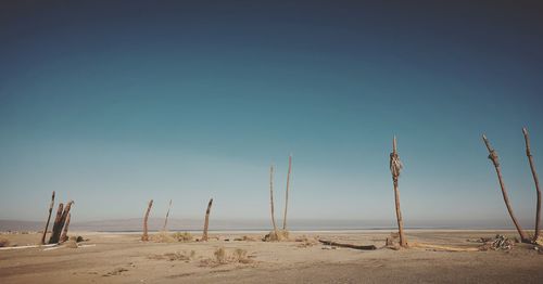 Scenic view of beach against clear blue sky