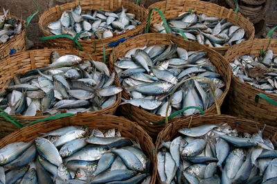 Wicker baskets full of fish in fishing village, indonesia