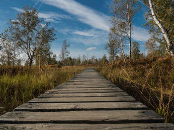 Surface level of boardwalk amidst trees against sky