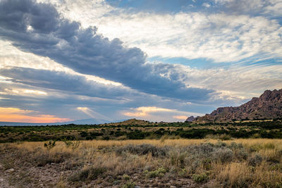 Scenic view of field against sky