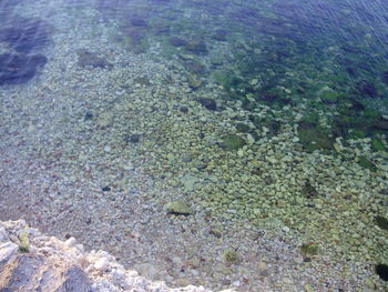 High angle view of crab on beach