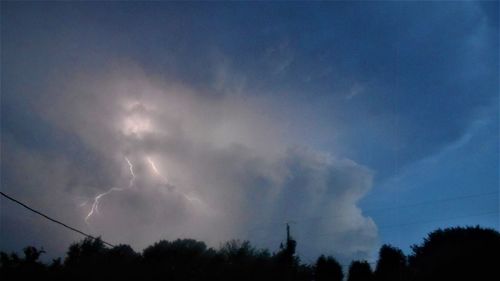 Low angle view of silhouette trees against blue sky