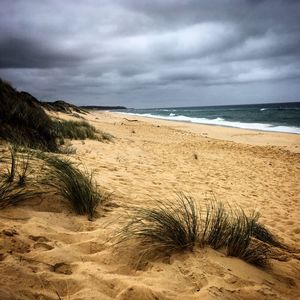 Scenic view of beach against sky
