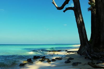 Scenic view of sea against clear blue sky