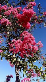 Full frame shot of tree