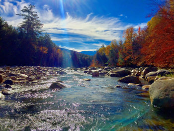 Scenic view of river in forest against sky