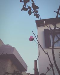Low angle view of built structure against clear sky