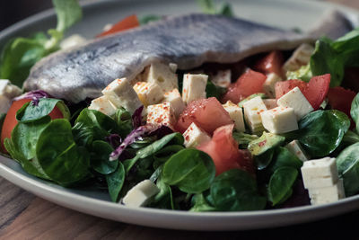 Close-up of vegetables in plate