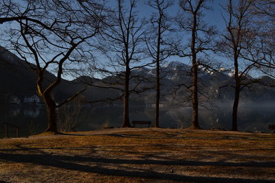 Bare trees on landscape against sky