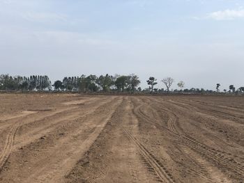 Tire tracks on field against sky