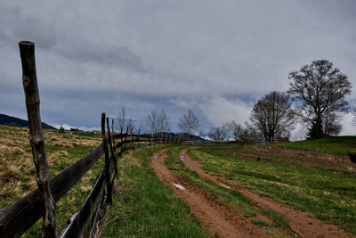 Scenic view of field against sky