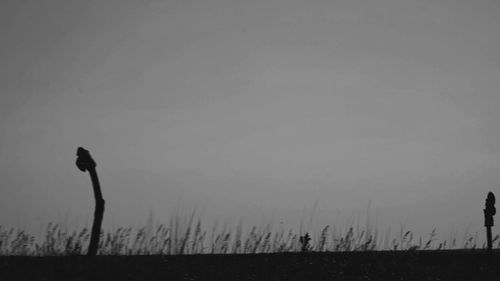 Silhouette man standing on beach against sky