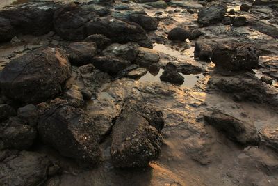 Full frame shot of rock formation