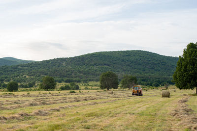 Hay field with a tractor