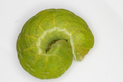 Close-up of fruit over white background