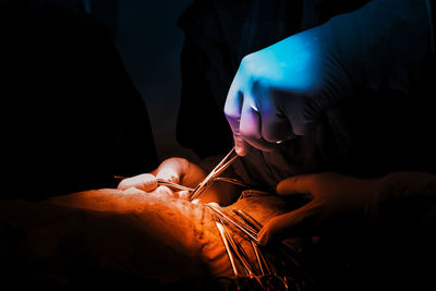 Close-up of hands working