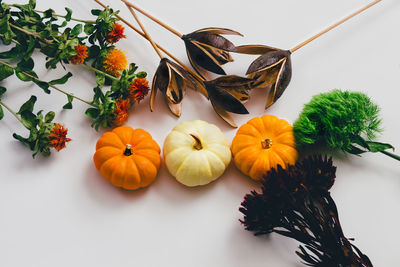 High angle view of pumpkins against orange background