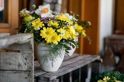 Close-up of potted plant