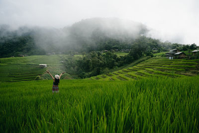 Rear view of man standing on field against sky