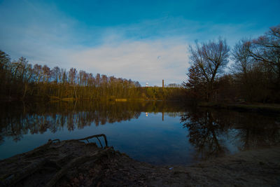 Reflection of trees in calm lake