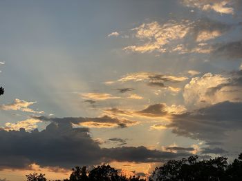 Low angle view of silhouette trees against sky during sunset