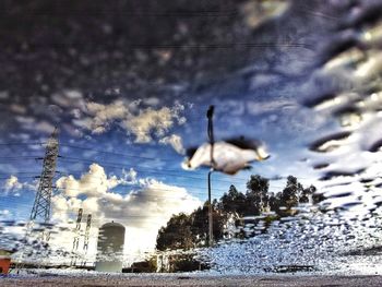 Birds in lake against sky during winter